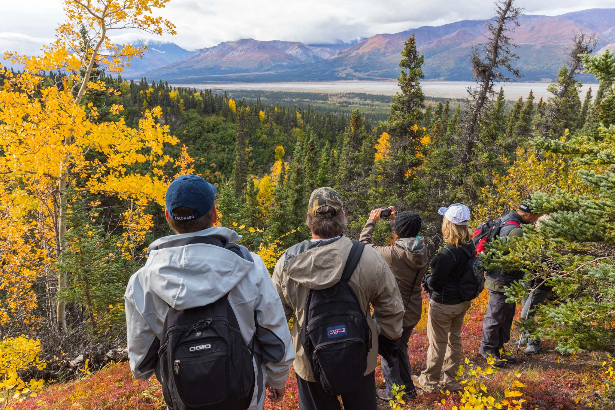 Fall Colors 2.jpg