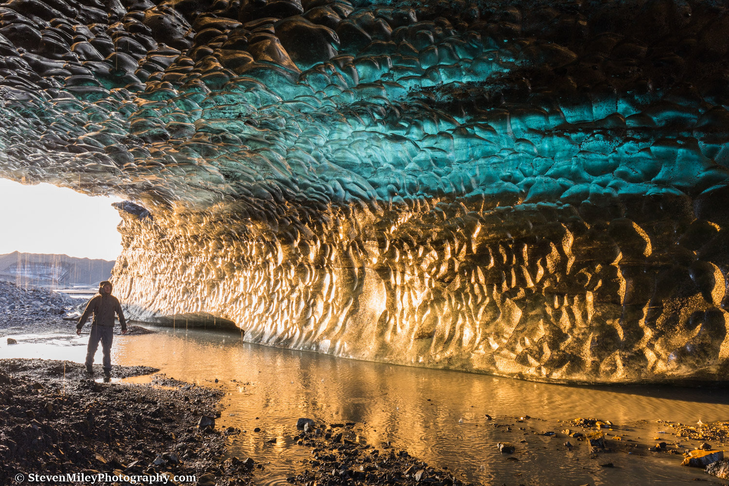 Denali National Park Blog Steven Miley Photography