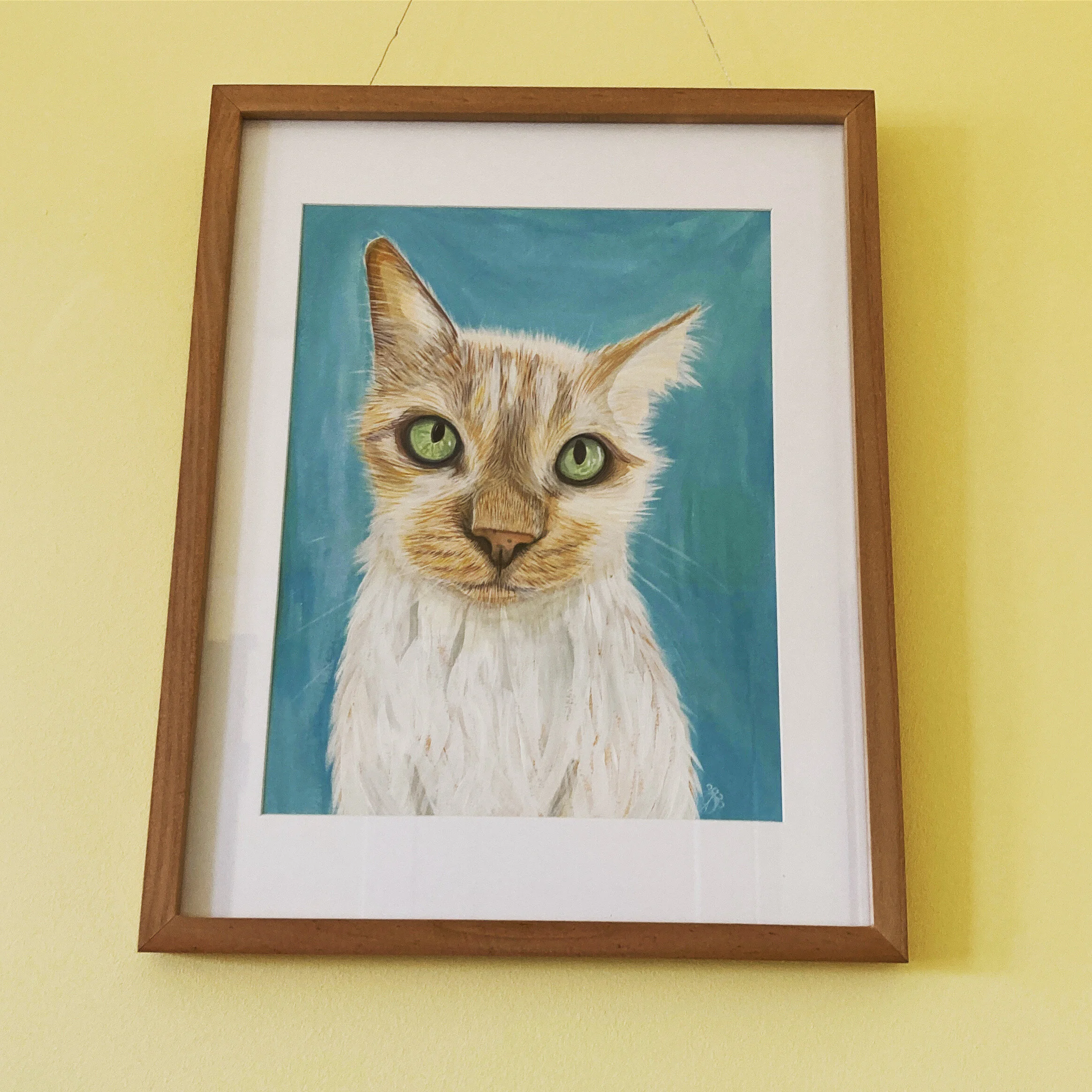 BC01FB8C-DDCB-4E1C-8DB5-7AC12EEBCBE6