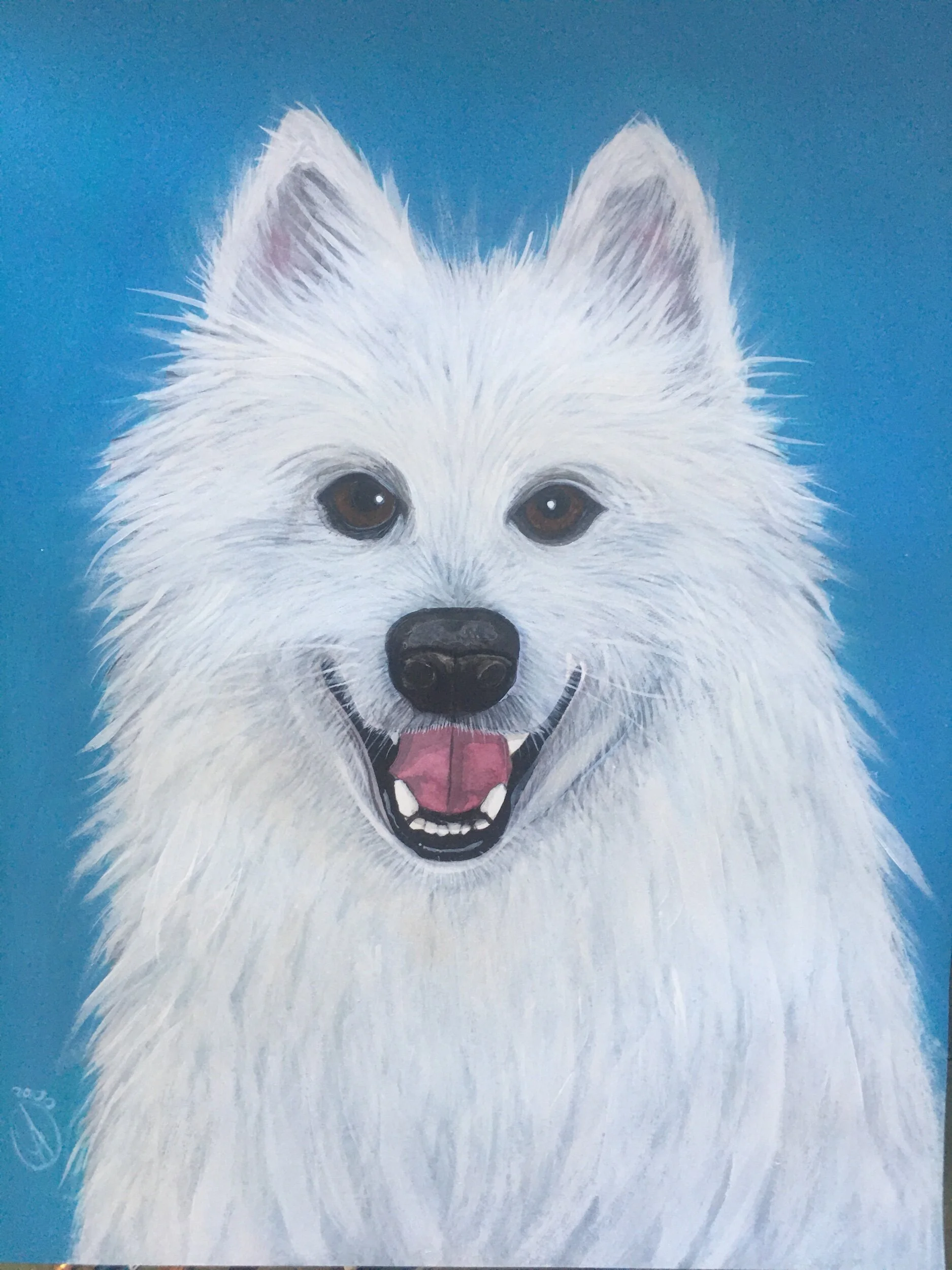 D204EADE-DA82-4AB6-9BF1-EFC36E25E194