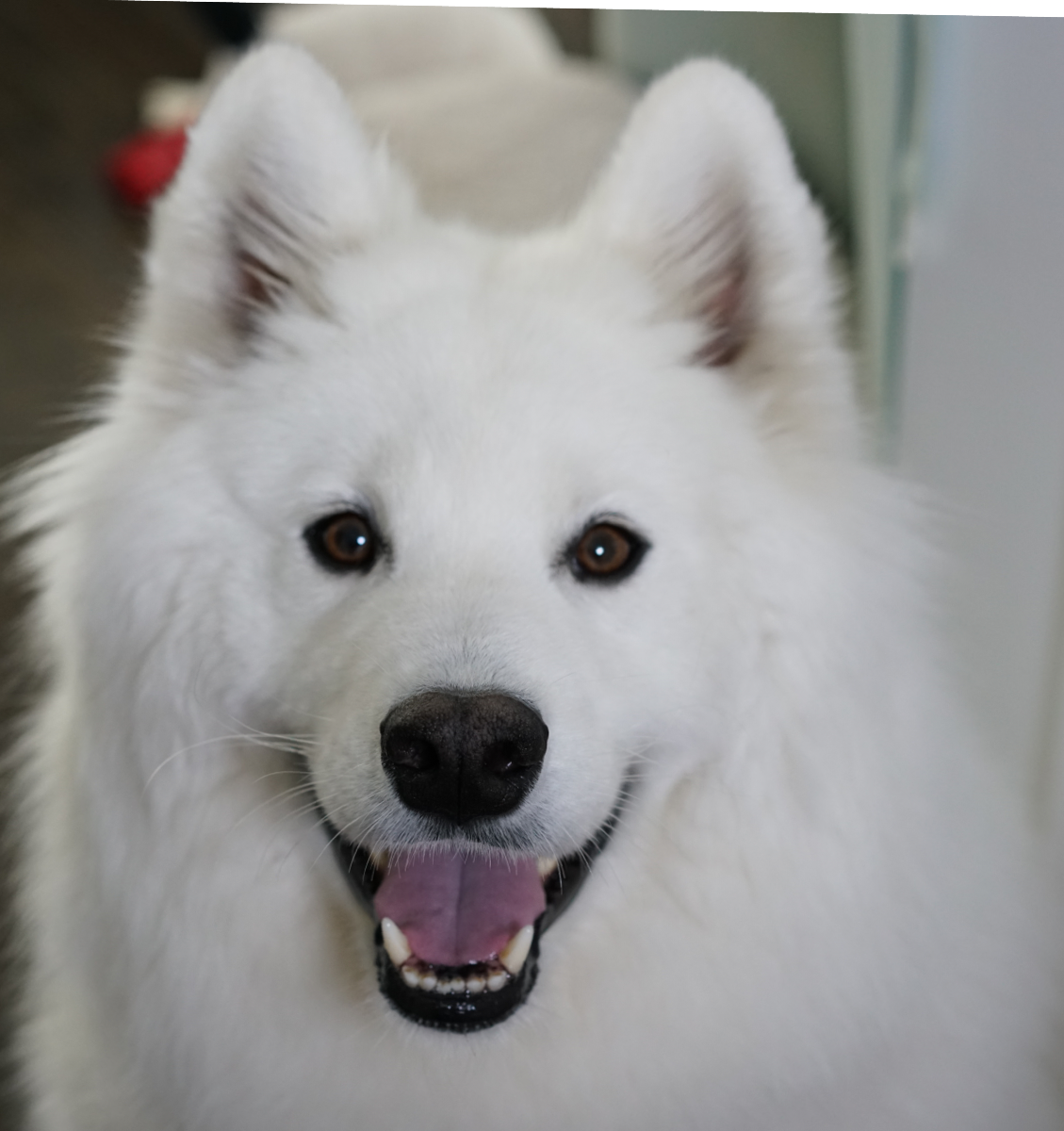 744FCCD6-7444-4A6D-8EE6-CF969B558489