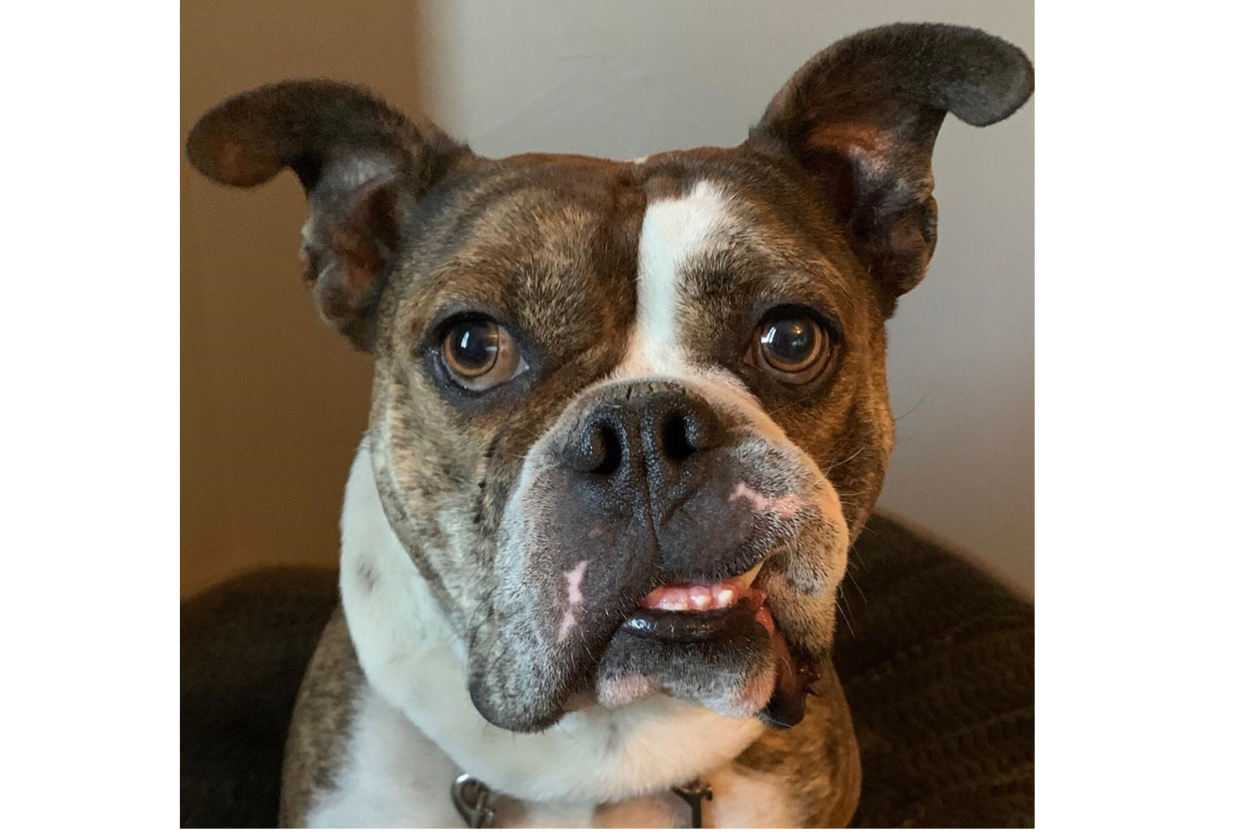 9E88BE12-4149-4962-9C03-4EE8A1B4B699