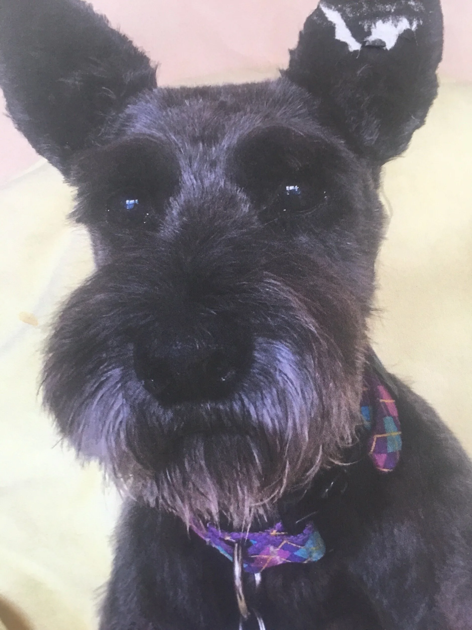 6AB5C109-0964-4A8B-ABBC-78BA0AAAD2D0