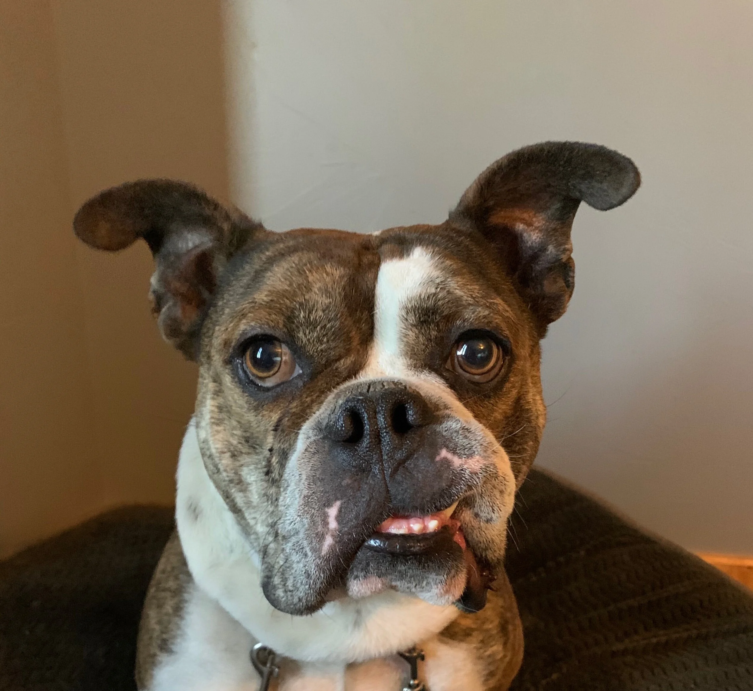 15AA1826-C413-416F-AF2A-BA7310BCBDB4