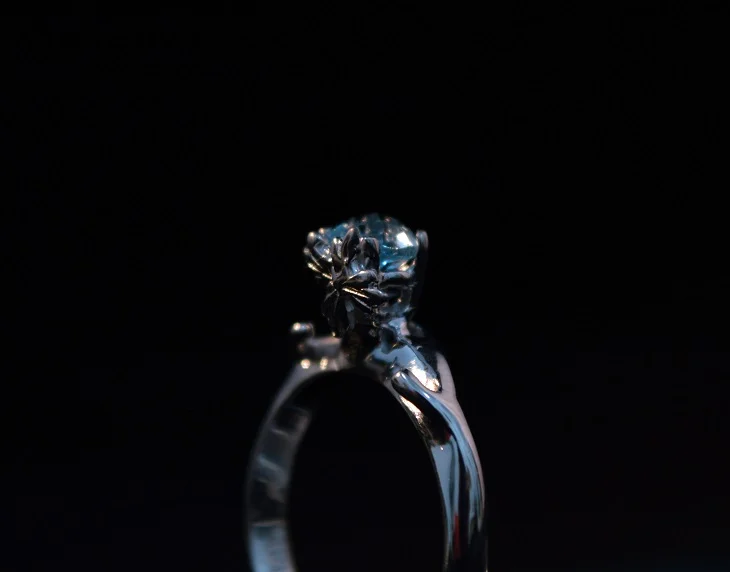 Anillo ramas.jpg