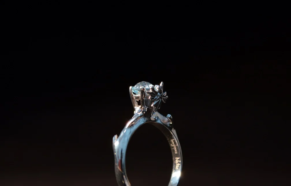 Anillo ramas 4.jpg