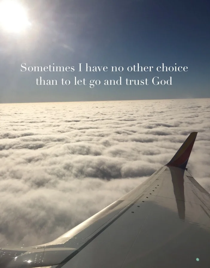 2018 SEG airplane wing.jpg