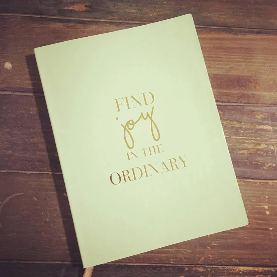 2018 find joy in the ordinary.jpg