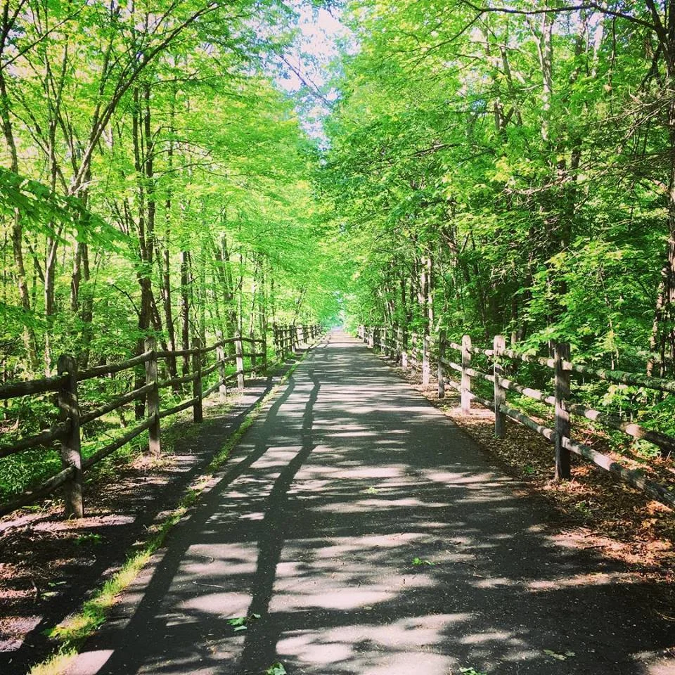 spring trail.jpg