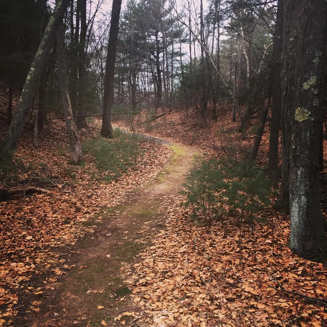 2018 Walker or runner?.jpg