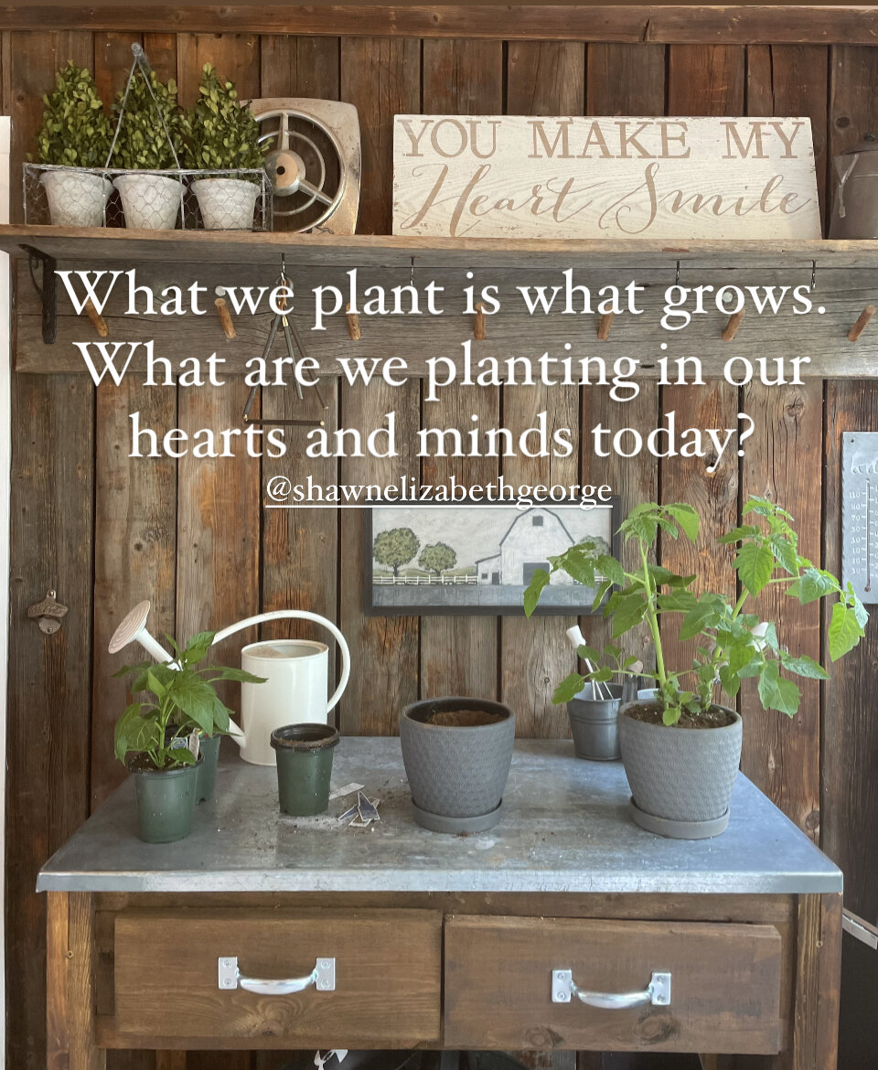 What We Plant is What Grows