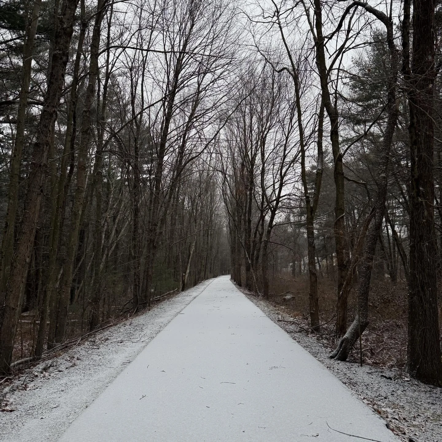 This morning on my walk, I was reflecting on something a friend said last night during a prayer group. She prayed for all the parents who, in the next couple of days, are worried that they haven&rsquo;t done enough.

When she began that prayer, it hi