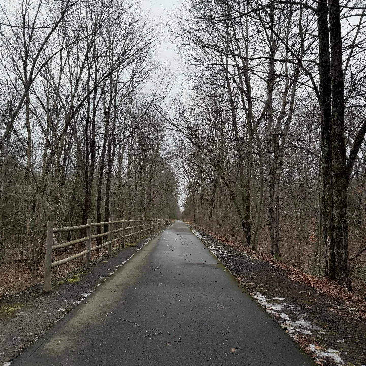 Yesterday I brought Gavin back to school. It was a great month with everyone back in the house. Yet reality is, it&rsquo;s not where Kate and Gav need to be anymore. They need to continue to grow into their future selves elsewhere. 

After dropping G