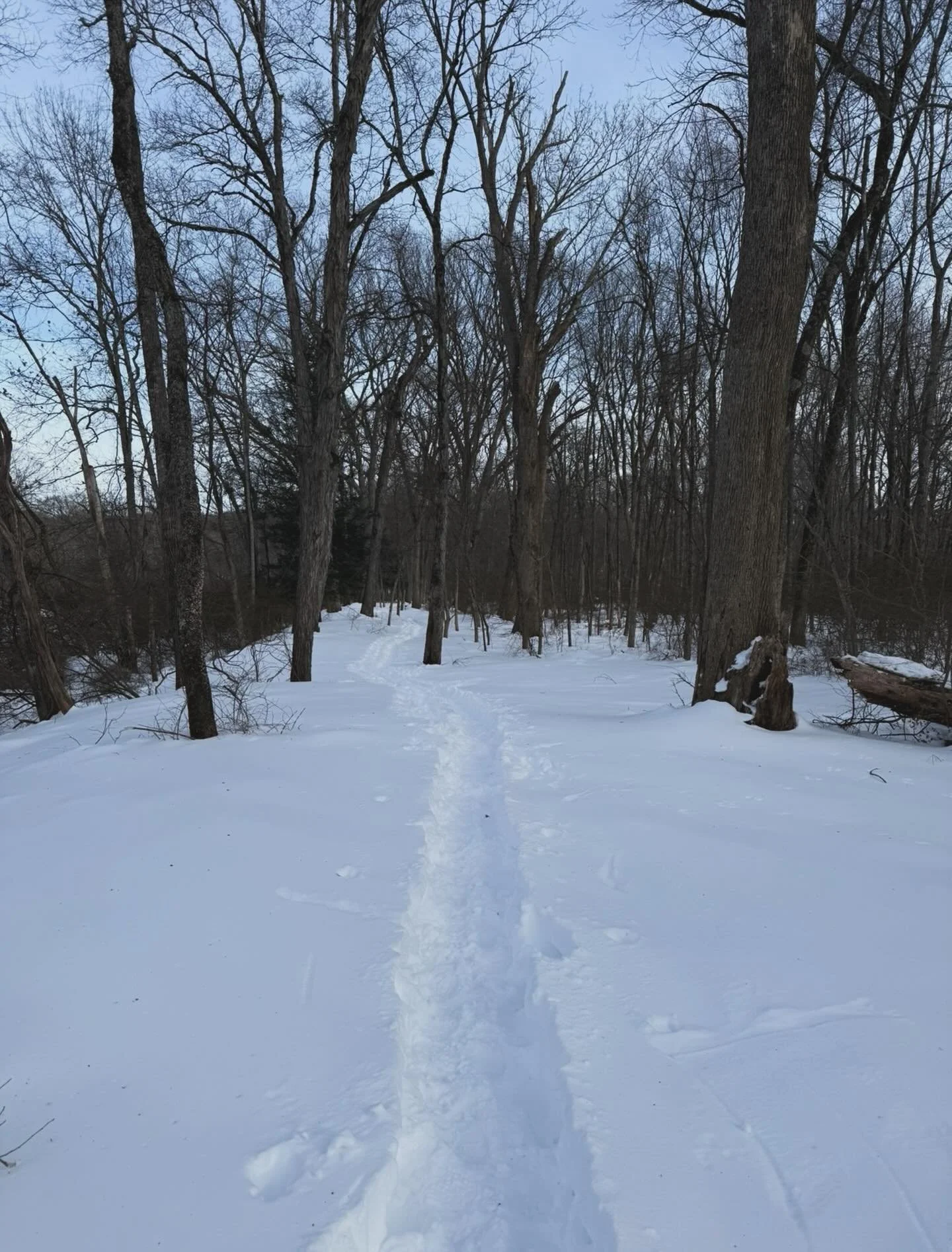 I have to admit that after a fun weekend with family and friends at a Cycle for Survival event in Boston, I felt a bit solemn yesterday. The fundraiser had been a good distraction from reality, but yesterday I began sitting with the reality of losing