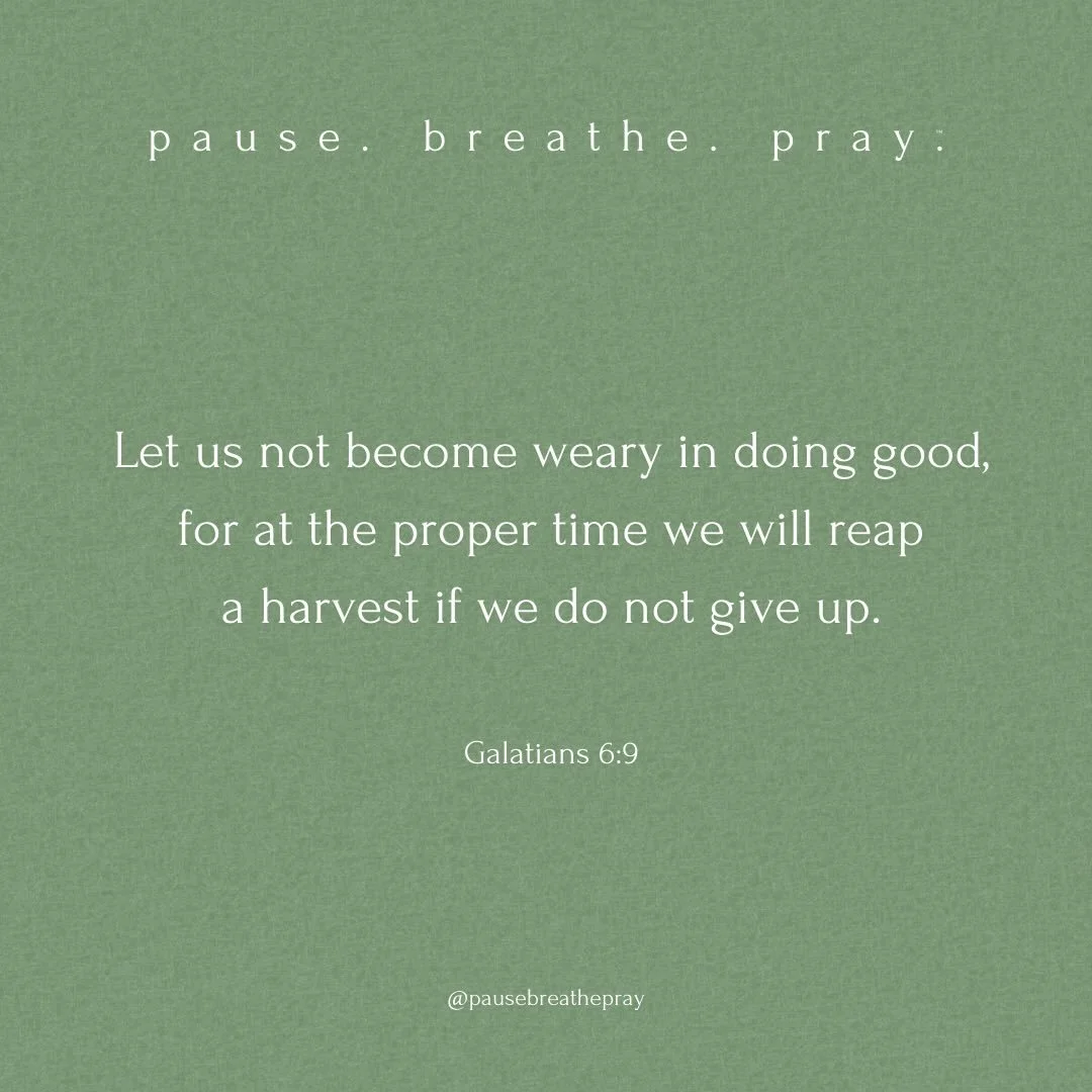 I invite you to join me to&hellip;

pause. breathe. pray.

It&rsquo;s tempting to give up when we don&rsquo;t see the harvest of the seeds we&rsquo;ve planted. Yet may we trust this truth and continue to plant seeds of love for God whether we ever ge