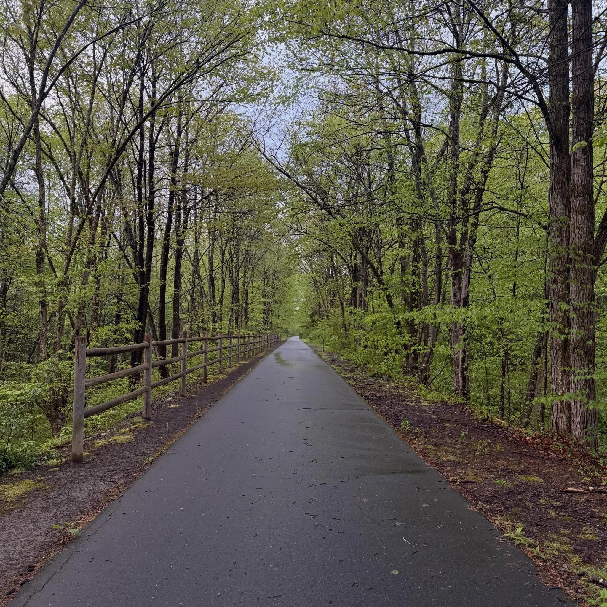 Yesterday I was on the trail and I witnessed a person walking their dog slowly. They weren&rsquo;t in a rush at all. They were taking their time, looking around.

Because I don&rsquo;t always keep my thoughts in, I ended up saying how I appreciated t