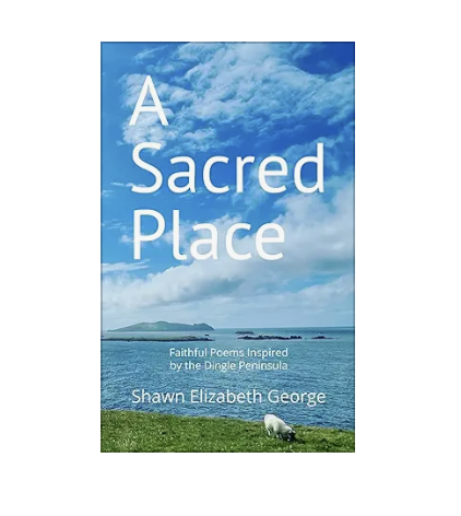 Screen Shot 2026-03-02 at 12.08.47 PM.png