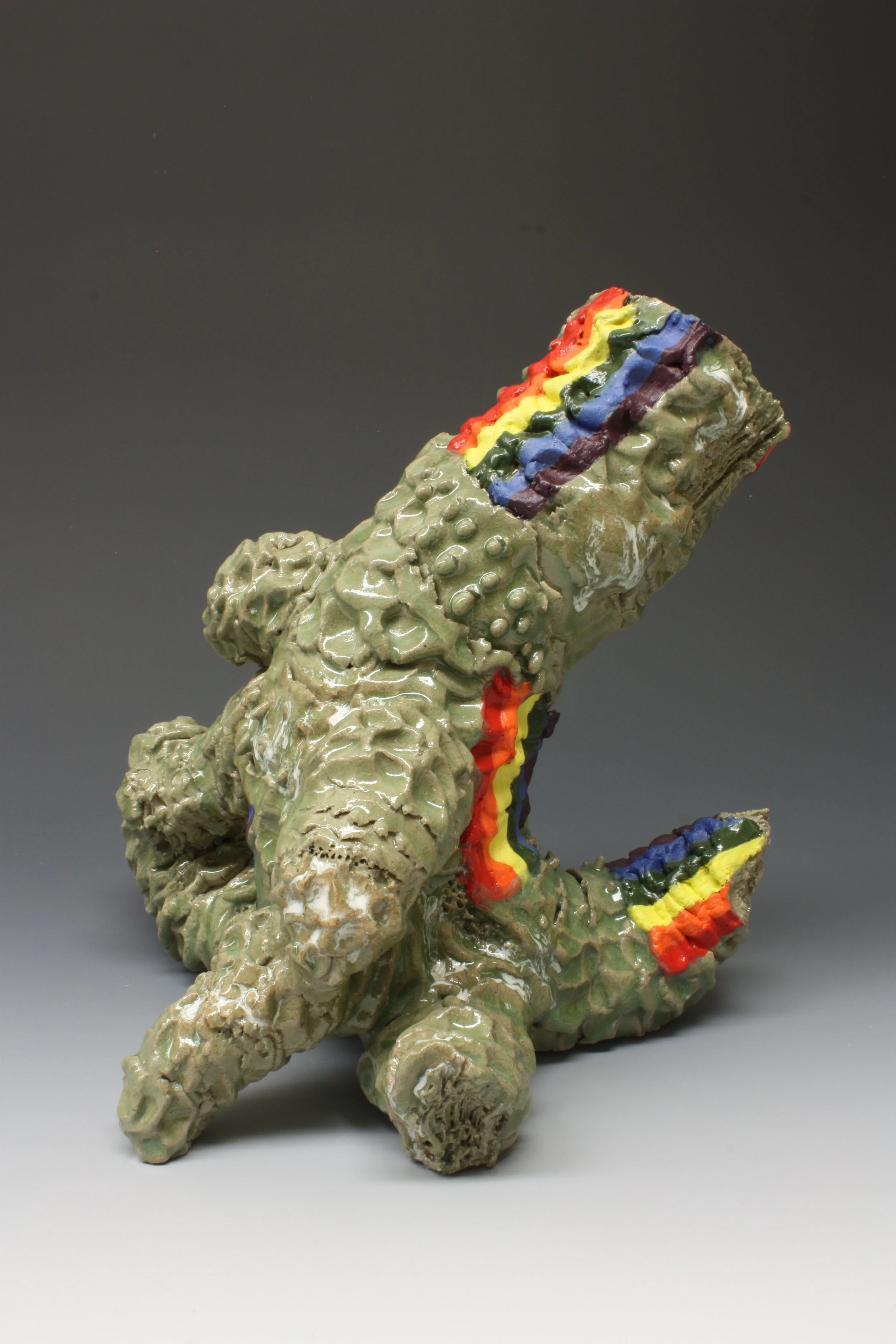 Bambusa Rainbow 