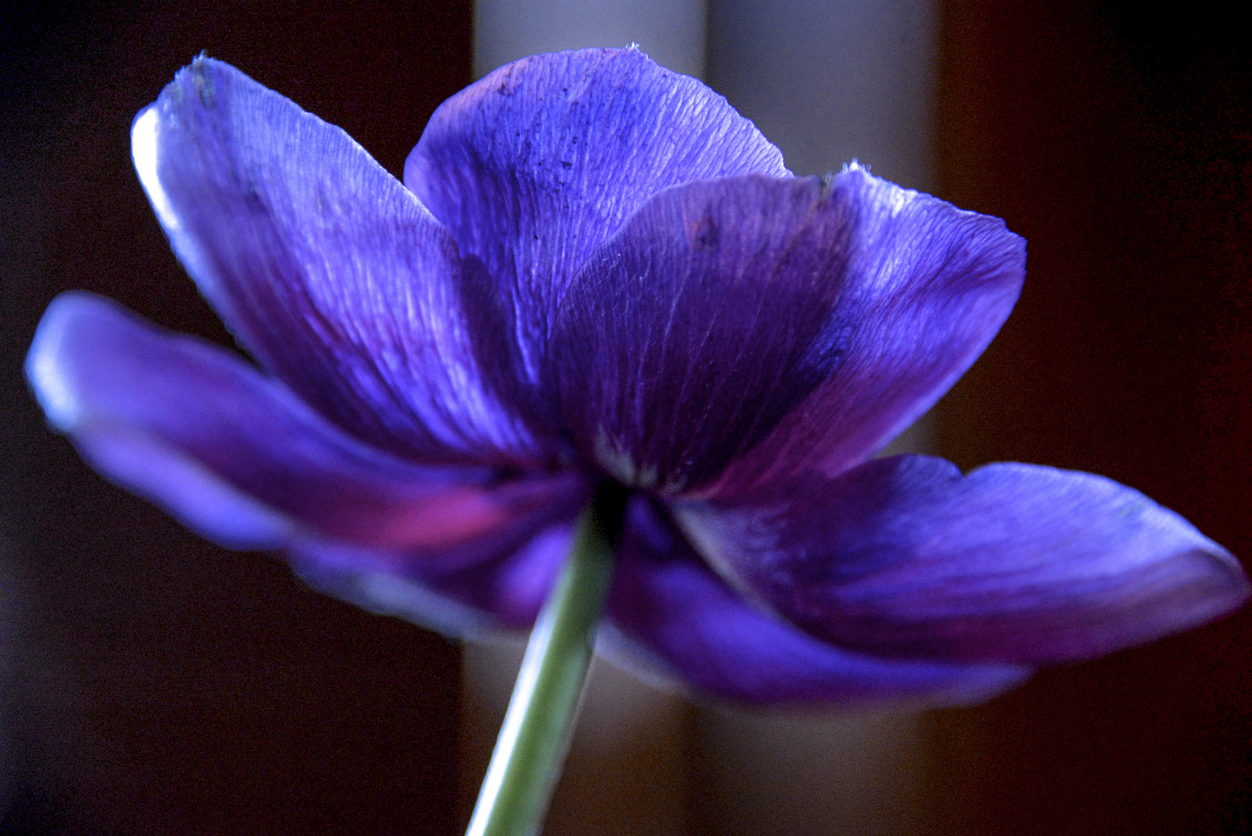 Project 8. Lyrical.Leach-21_1_1.JPG