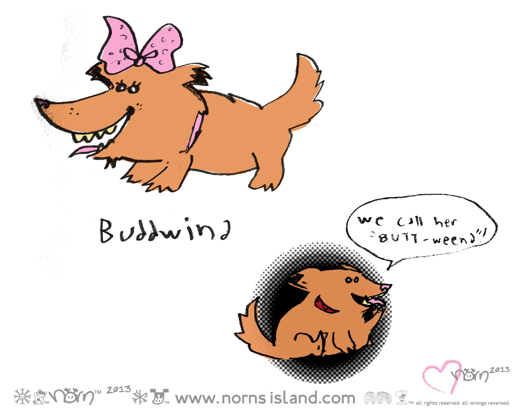 BUDD_6748_WEB.jpg