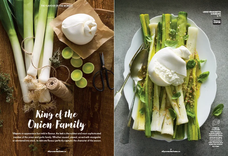 DFC2503_FallMagazine2016-7.jpg