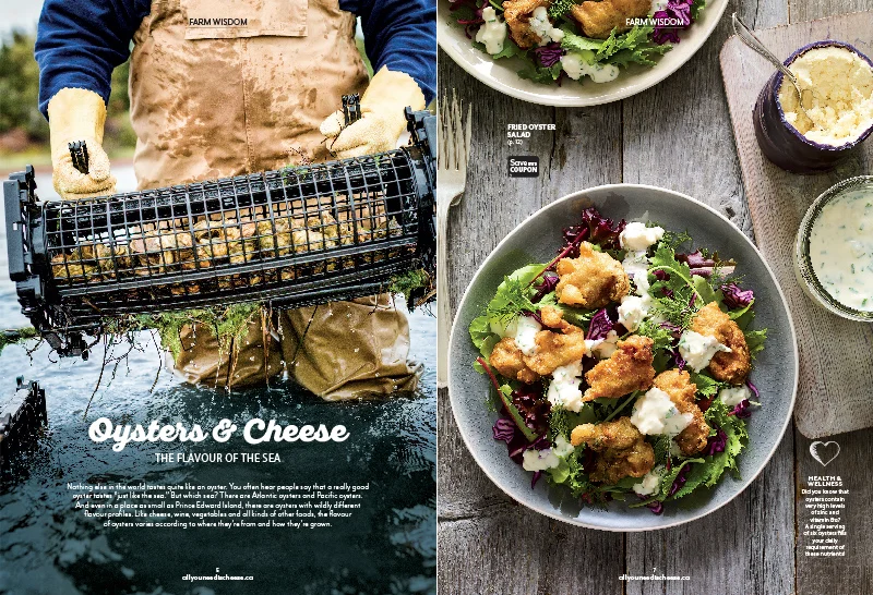 DFC2503_FallMagazine2016-3.jpg