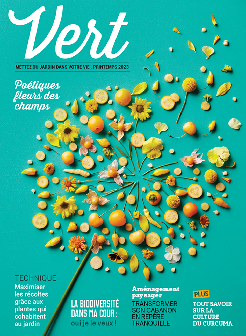 Magazine Vert 2023 