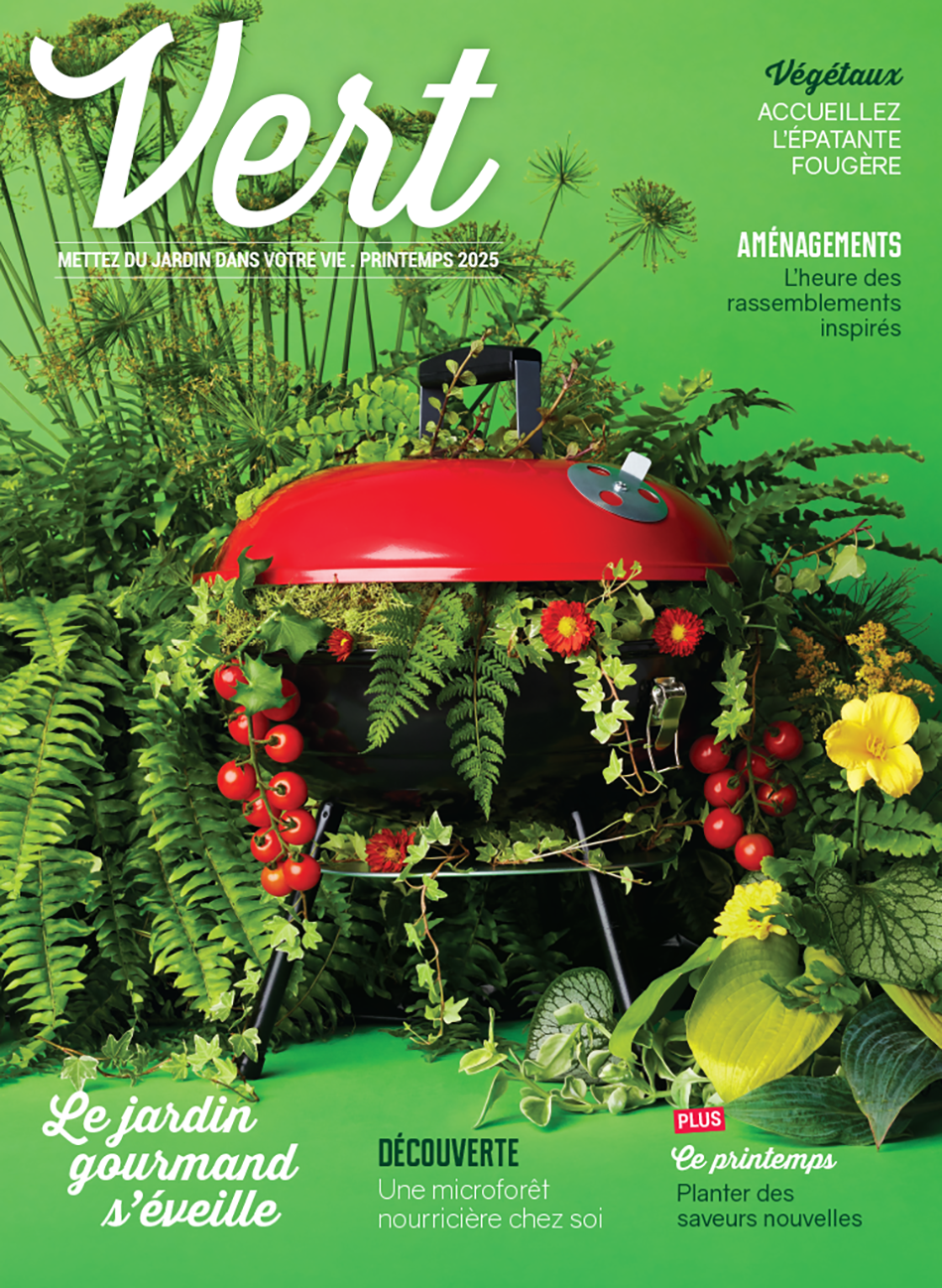 Magazine Vert 2025