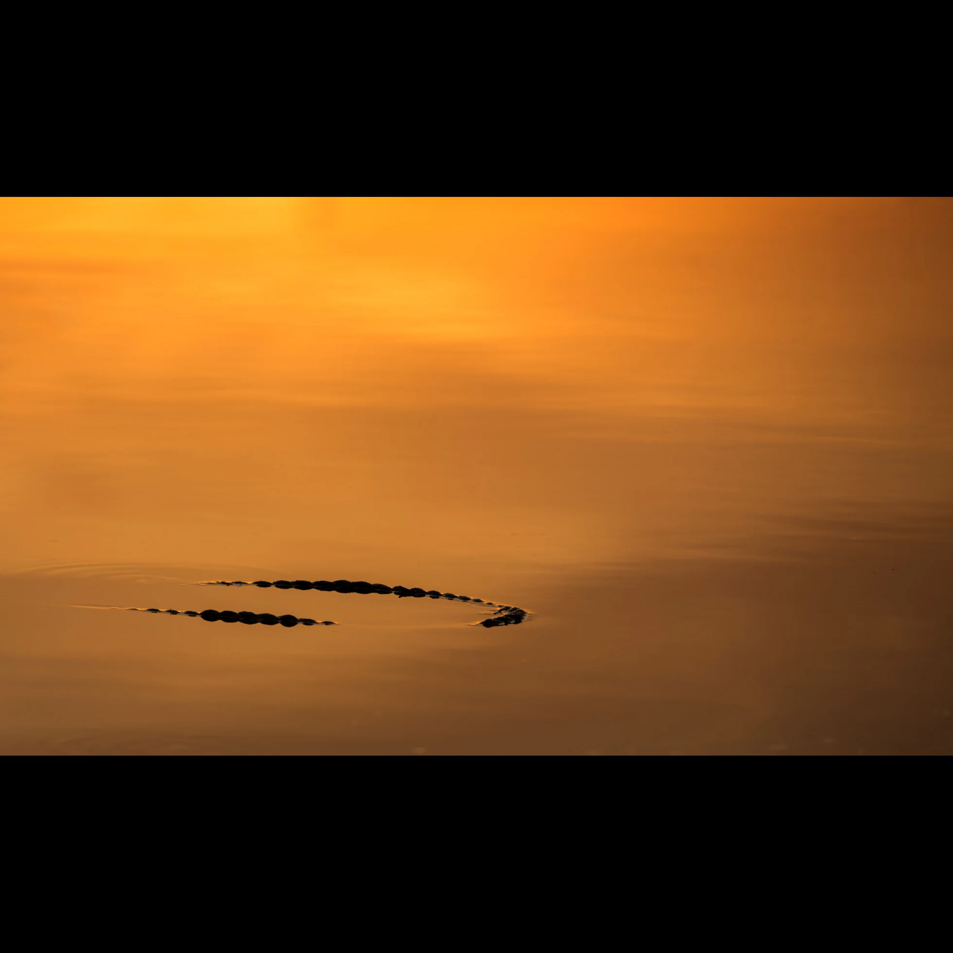 10.21 SUNSET MOORING