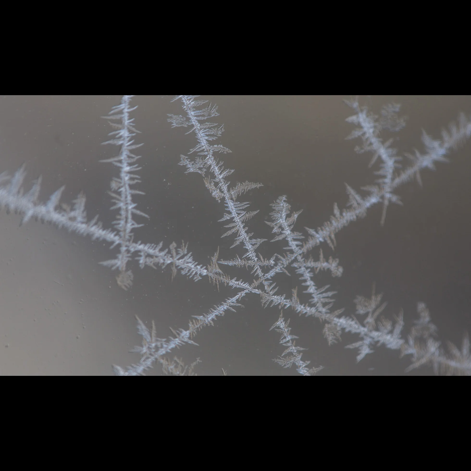 1.5 WINDOW FROST