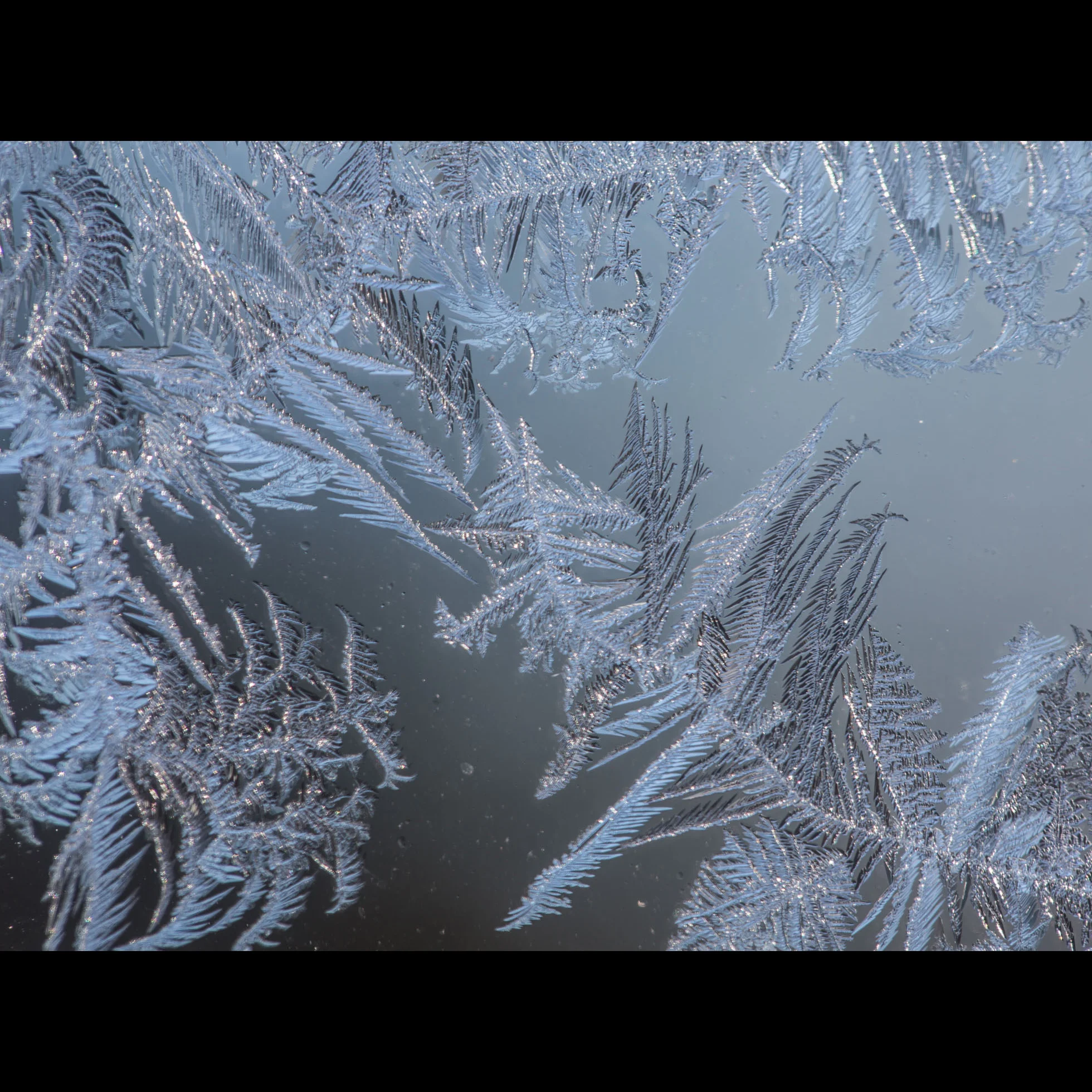 2.12 WINDOW FROST REDUX