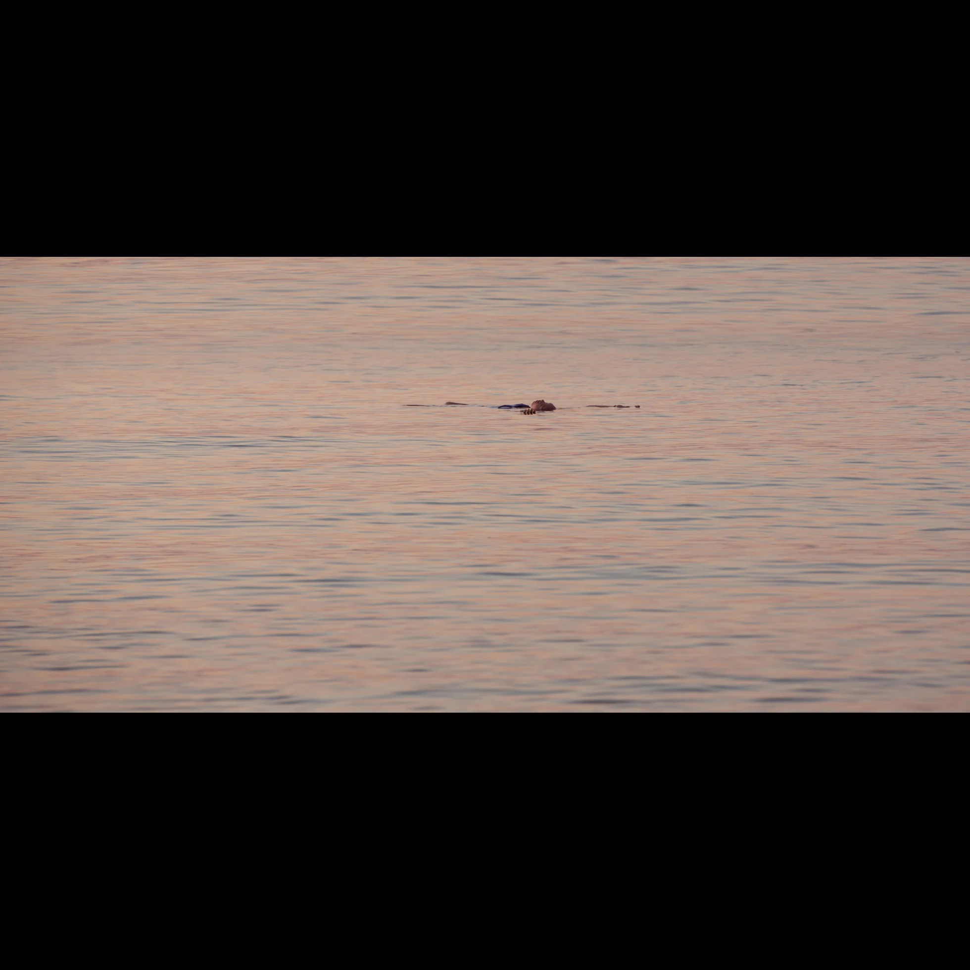 8.27 SUNSET SWIMMER