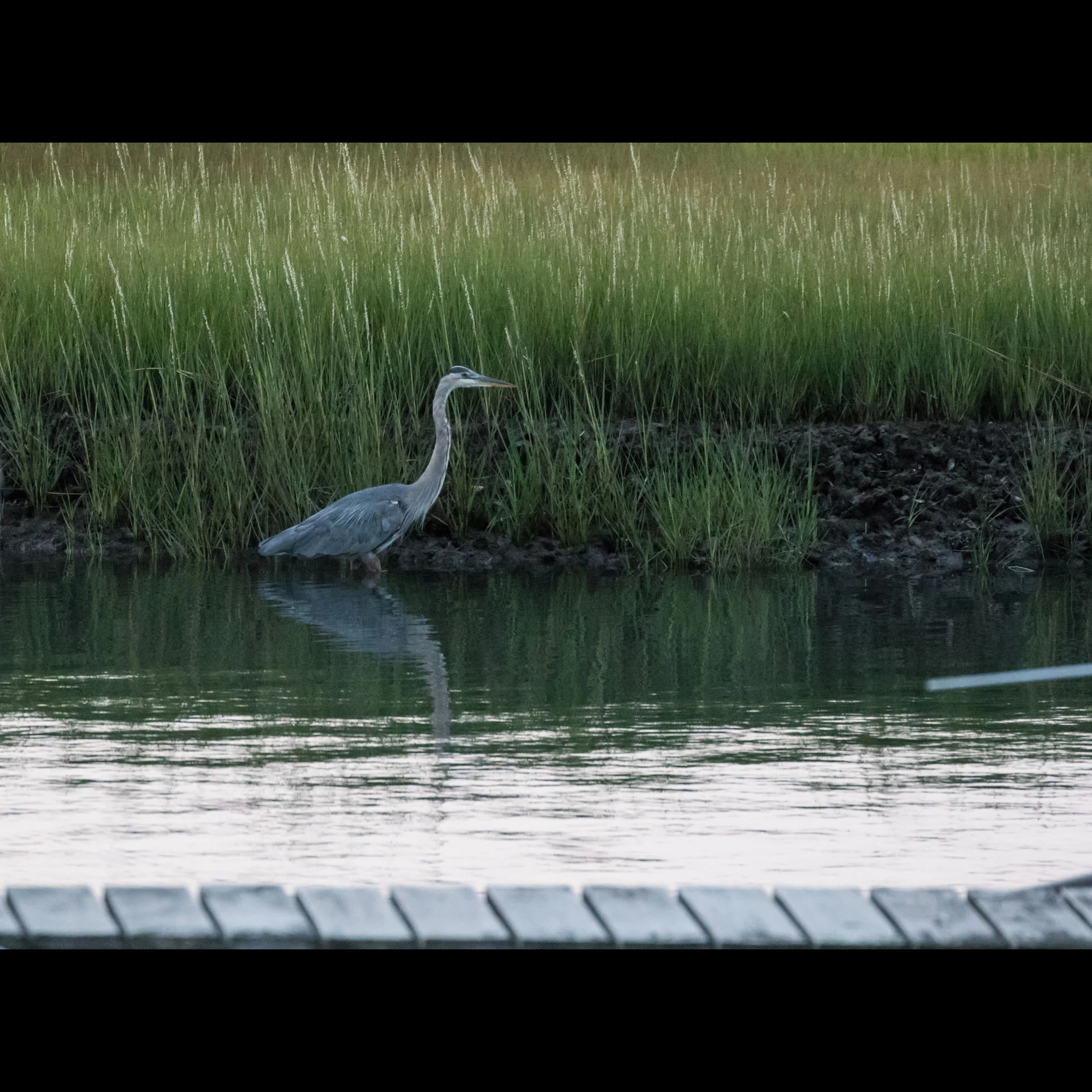 9.4 HERON