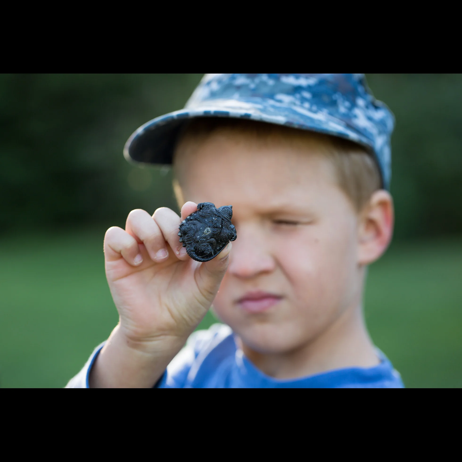 Ethan and the Turtle
