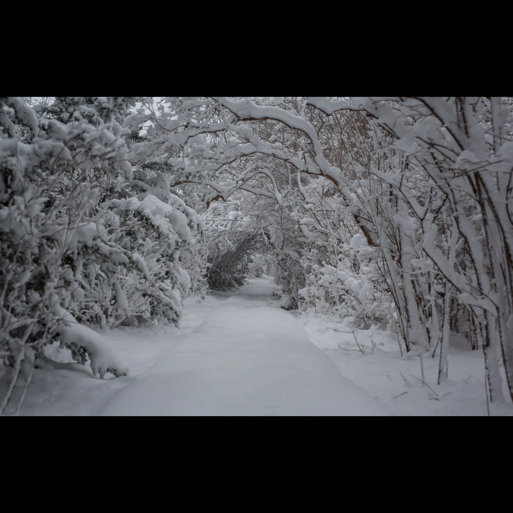 1.7 SNOWY PATH