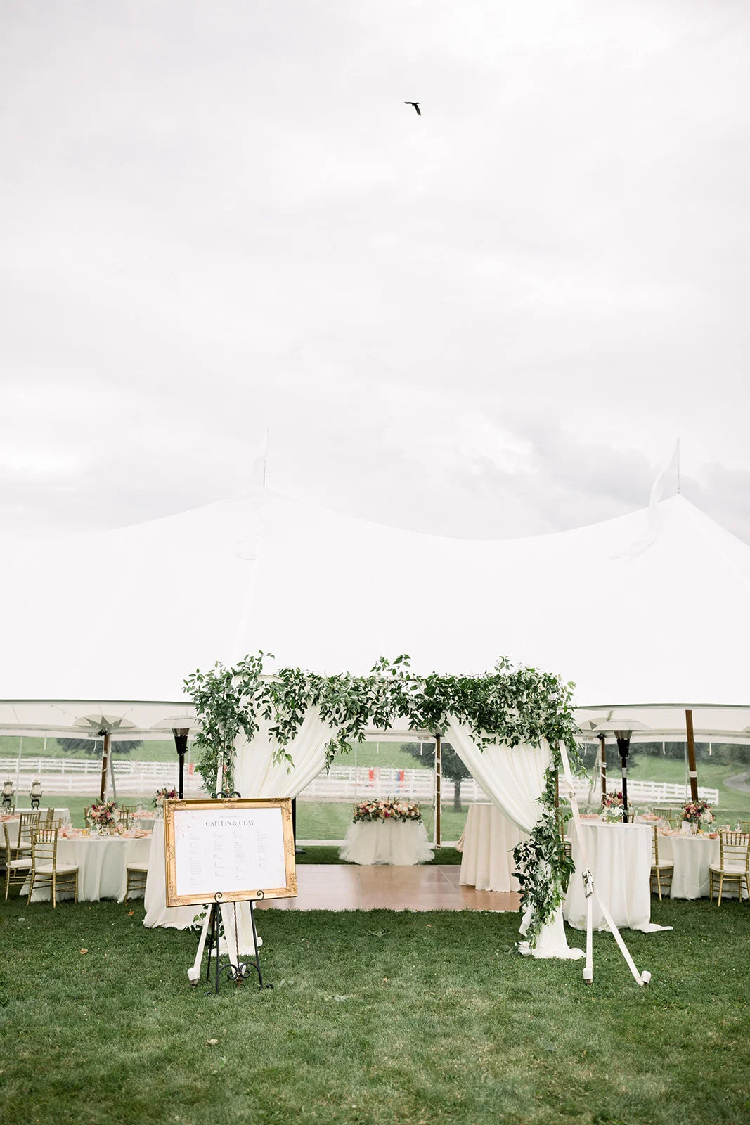 Emily Netti Photography 