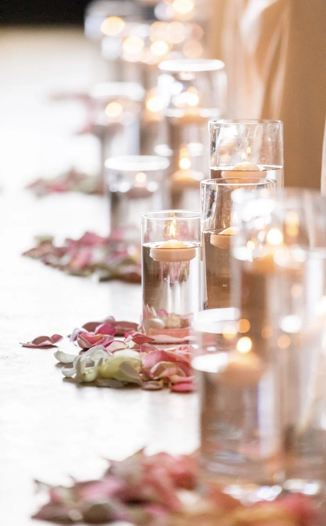 Ty Brown Photography 