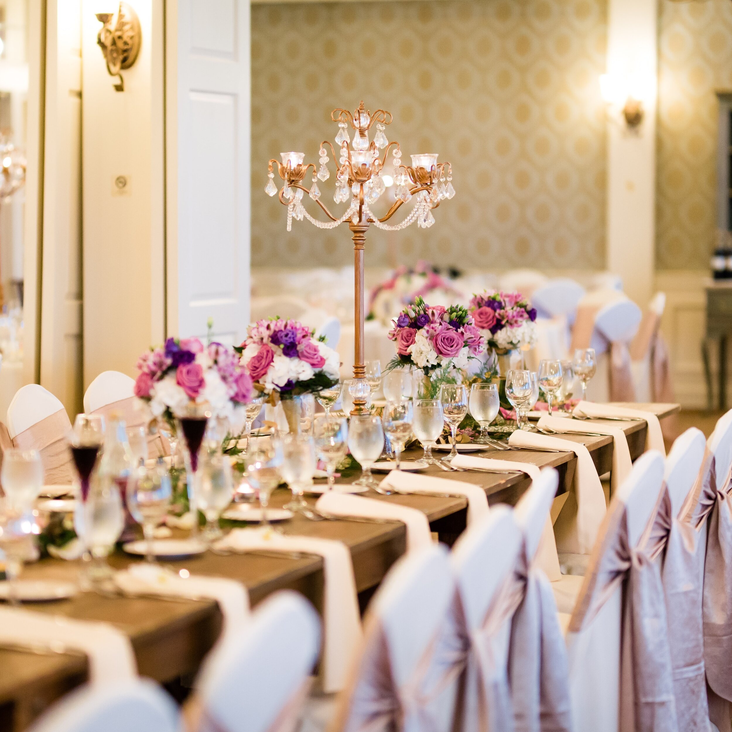 Megan Dailor Photography 