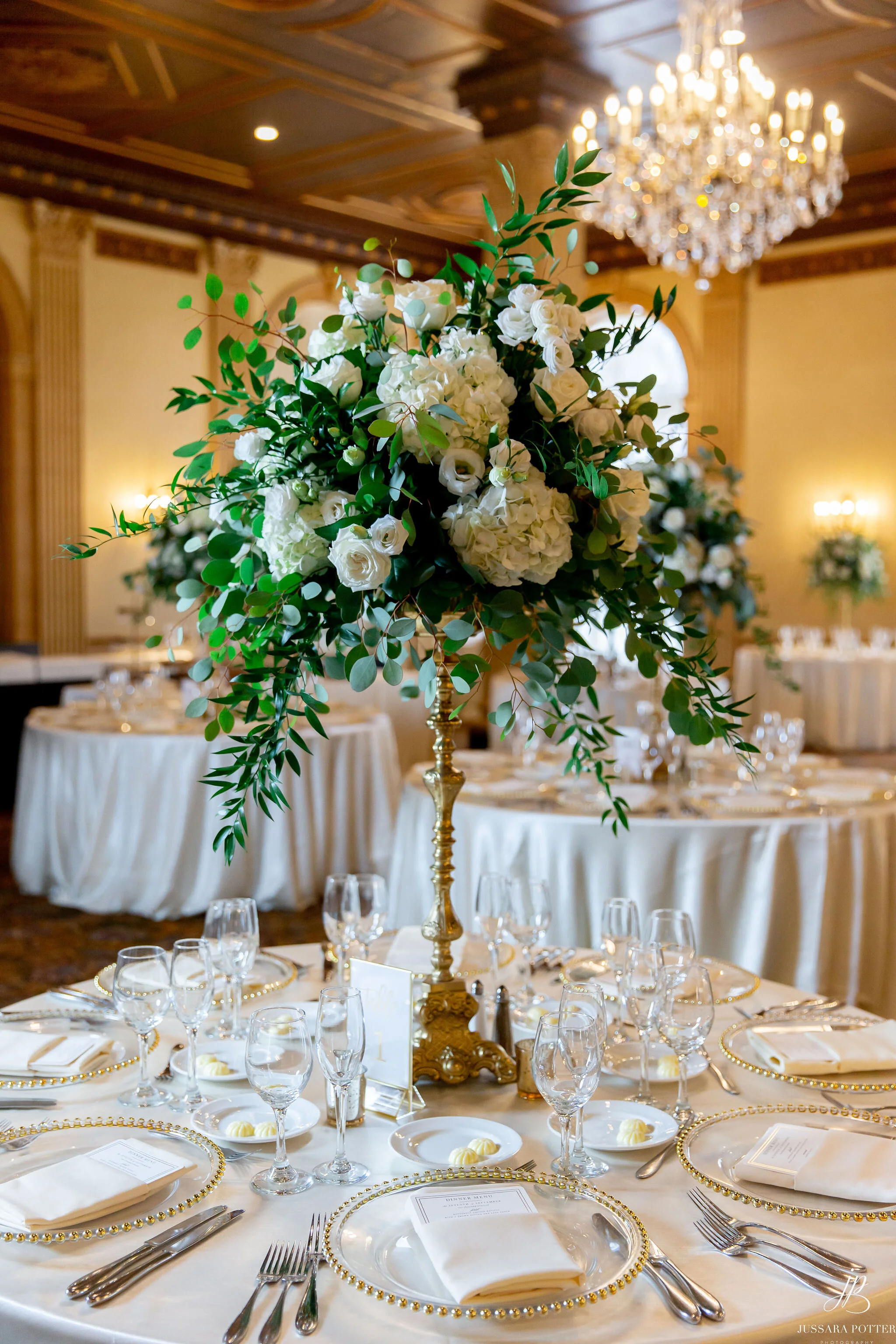 Jusarra Potter Photography