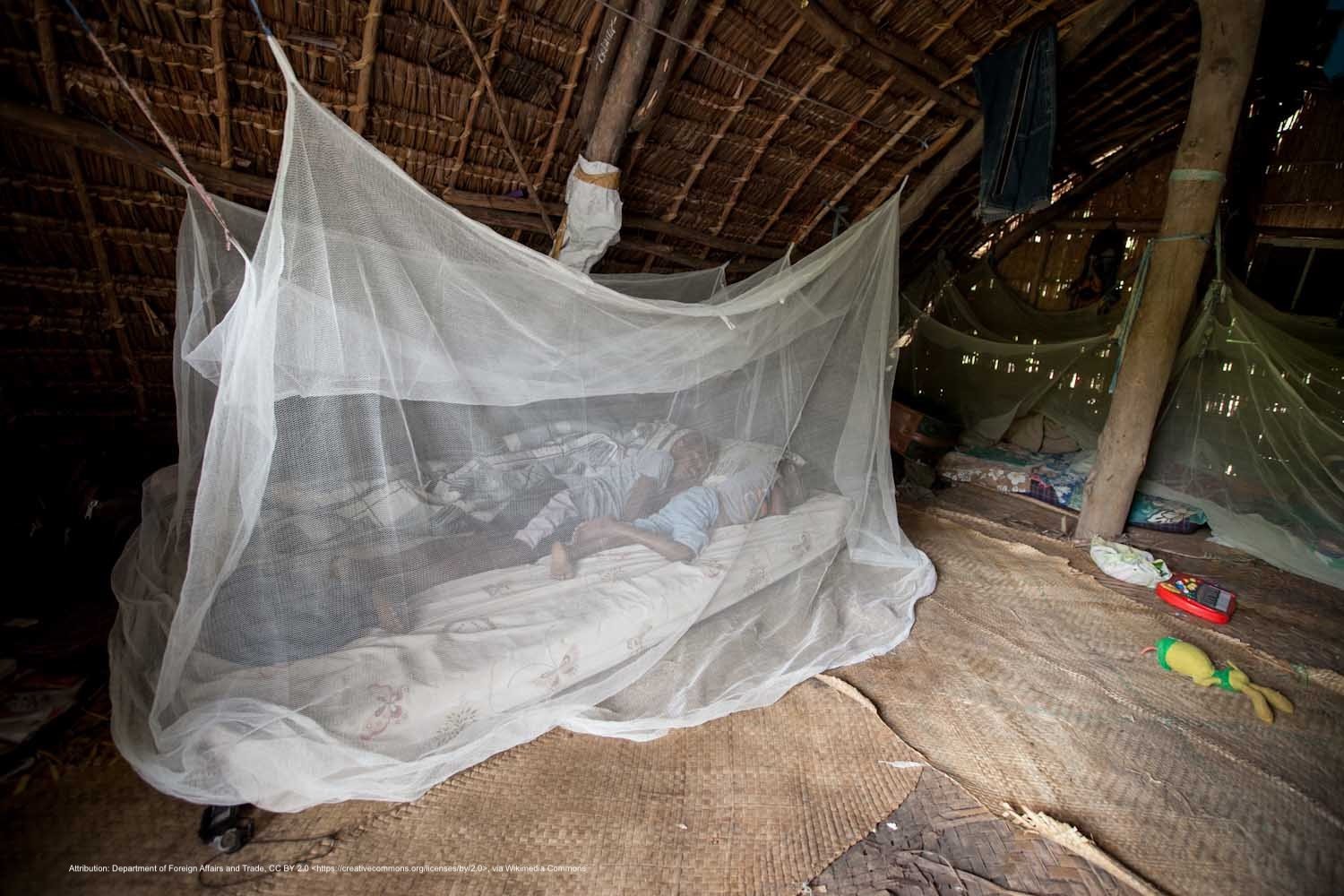 It takes a village to end malaria — and behavioural science can guide ...