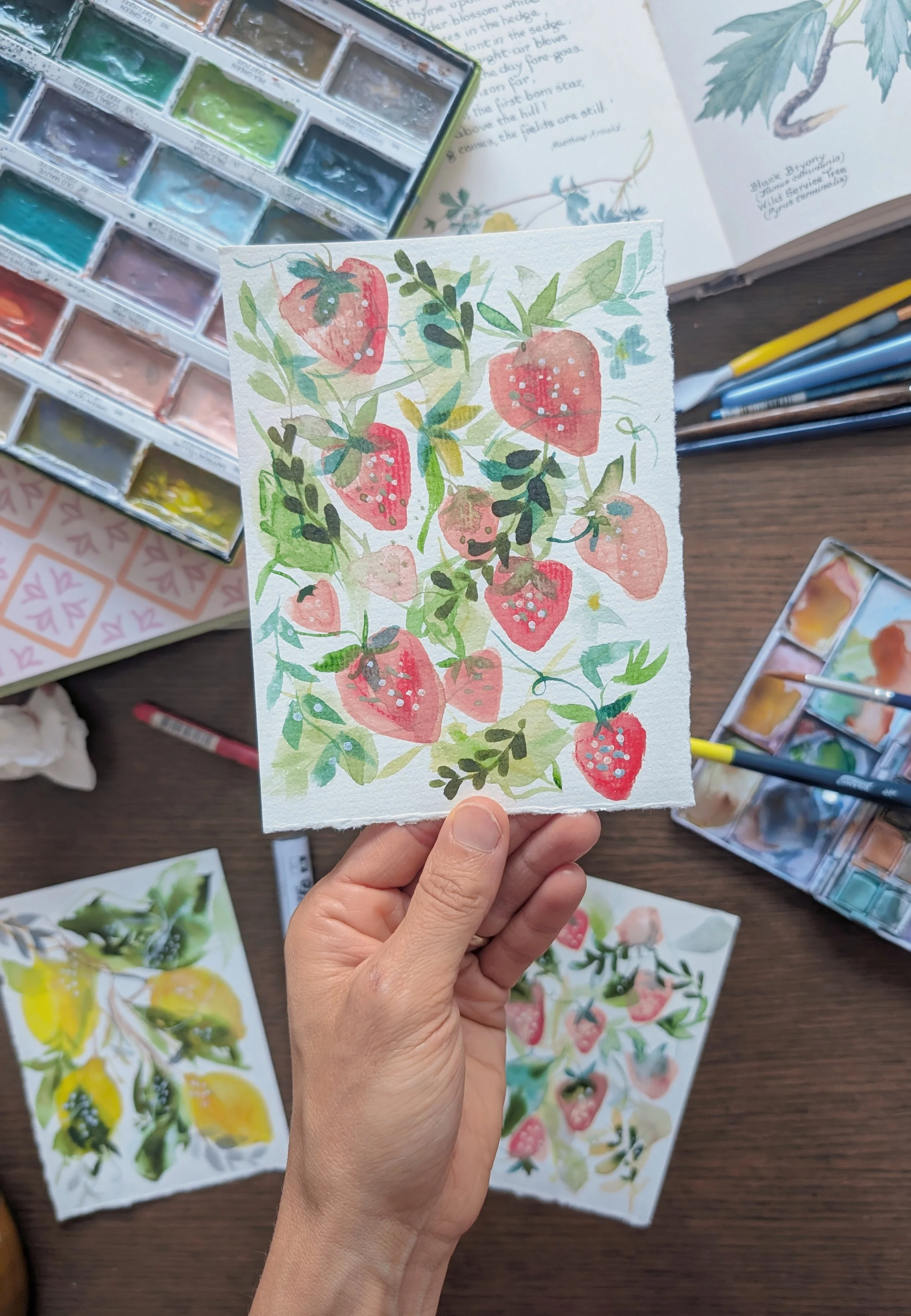 SHERBROOKE -  Aquarelle 101 - Café FARO - 26 septembre 2026