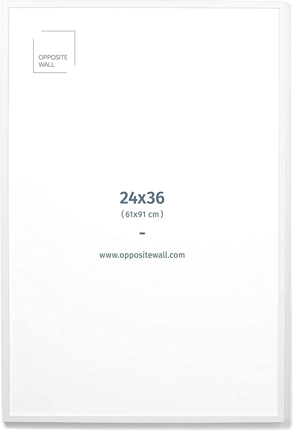 Blank white poster board with size specifications 24x36 inches and website link www.oppositewall.com
