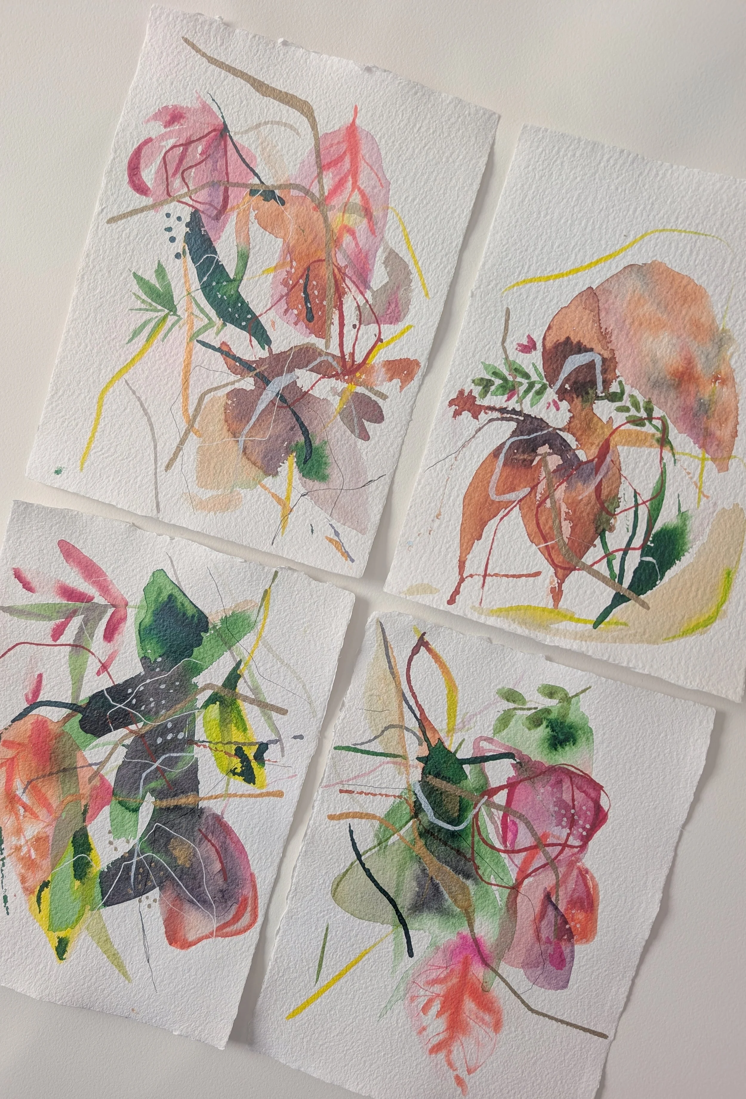 PXL_20260119_180350630 (1).jpg