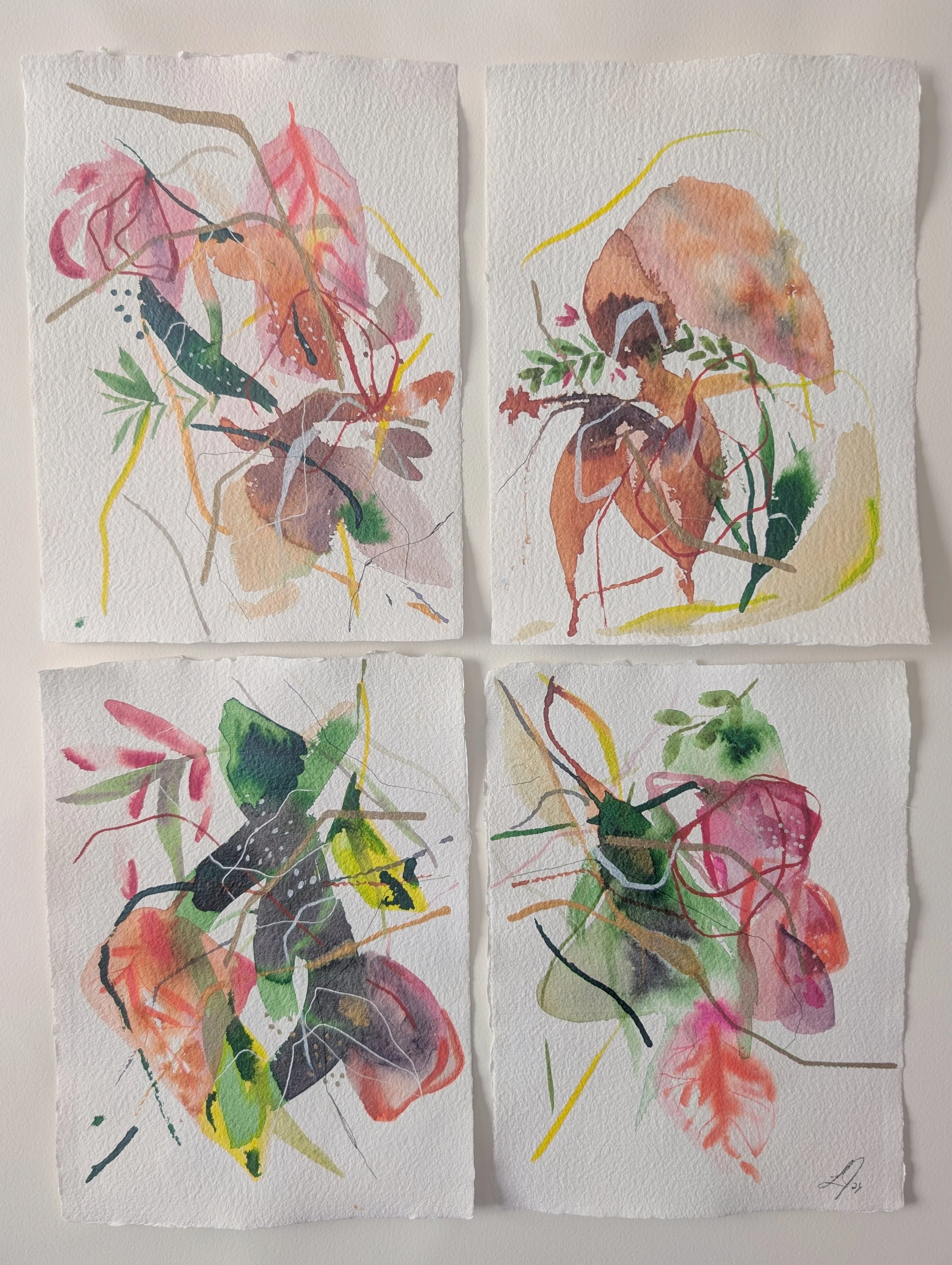 PXL_20260119_180347222 (2).jpg