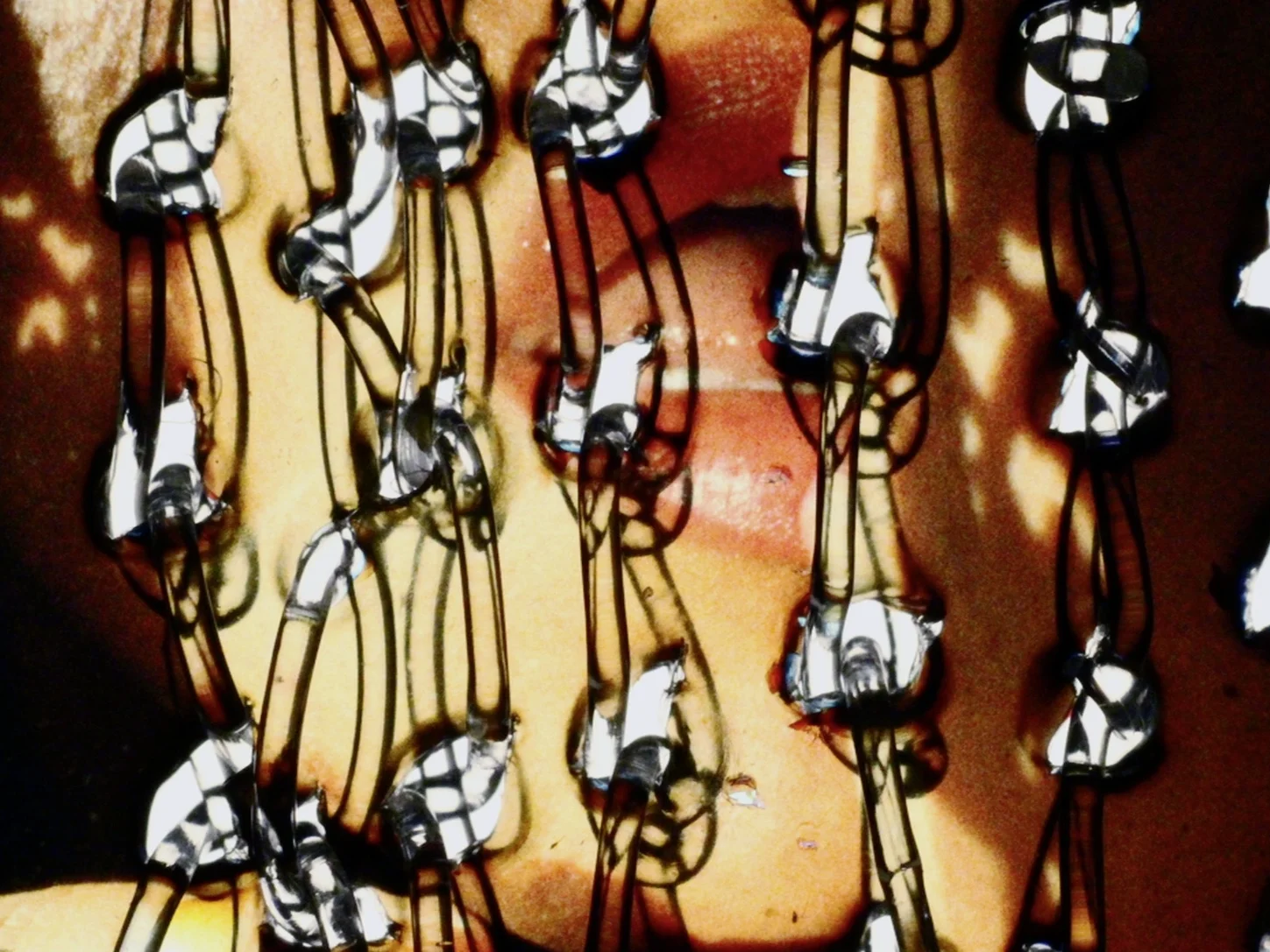Solitary Acts (4,5,6) Nazlı Dinçel 2015 / 25 minutes / USA / 16mm / sound These three films are part of series that follow a female child through her teenage years while she explores her sexuality, and discovers her perversions. Hand-processed and altered images follow a labor-intensive, formal questioning of the medium. Female and male masturbation, flowers being taken apart and being put back together, extreme close-up shots of fabric and practice-kissing the mirror create a visceral, humorous and tumultuous experience of these personal memories. -ND