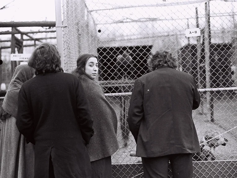 Filament (The Hands) Amy Halpern 1975 | 7 minutes | USA | 16mm | b&w | silent In the politically charged atmosphere of the early 70s, Mikis Theodorakis conducted a concert of his music in Philadelphia. His music was banned in Greece, his own country, at that time by the US-funded junta. Visiting the US on a limited visa, he was restricted to musical appearances only - no public speaking permitted. His hands, eloquent even when their gestures are deprived (by silent filming) of the music they are making, speak. Several in-camera phenomena resulted from the highly-charged nature of the shoot. Flashes of lightning appear, in directional continuity with Theodorakis' movements. These are the product of static electricity, which caused flashes of light inside the camera to make additional exposures on the film while it was being exposed through the lens. The apparent double exposures are the result of the speed of the gestures interacting with the camera shutter speed, and seem to multiply the hands' locations. A shift from Plus X to Double X and finally to Tri X film stock causes the image to become progressively grainier, and the hands more glowing and halated. -AH