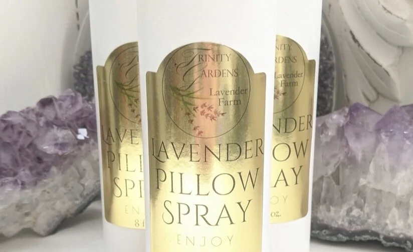 3CA93B12-2F72-4D12-B082-03830F65C81E