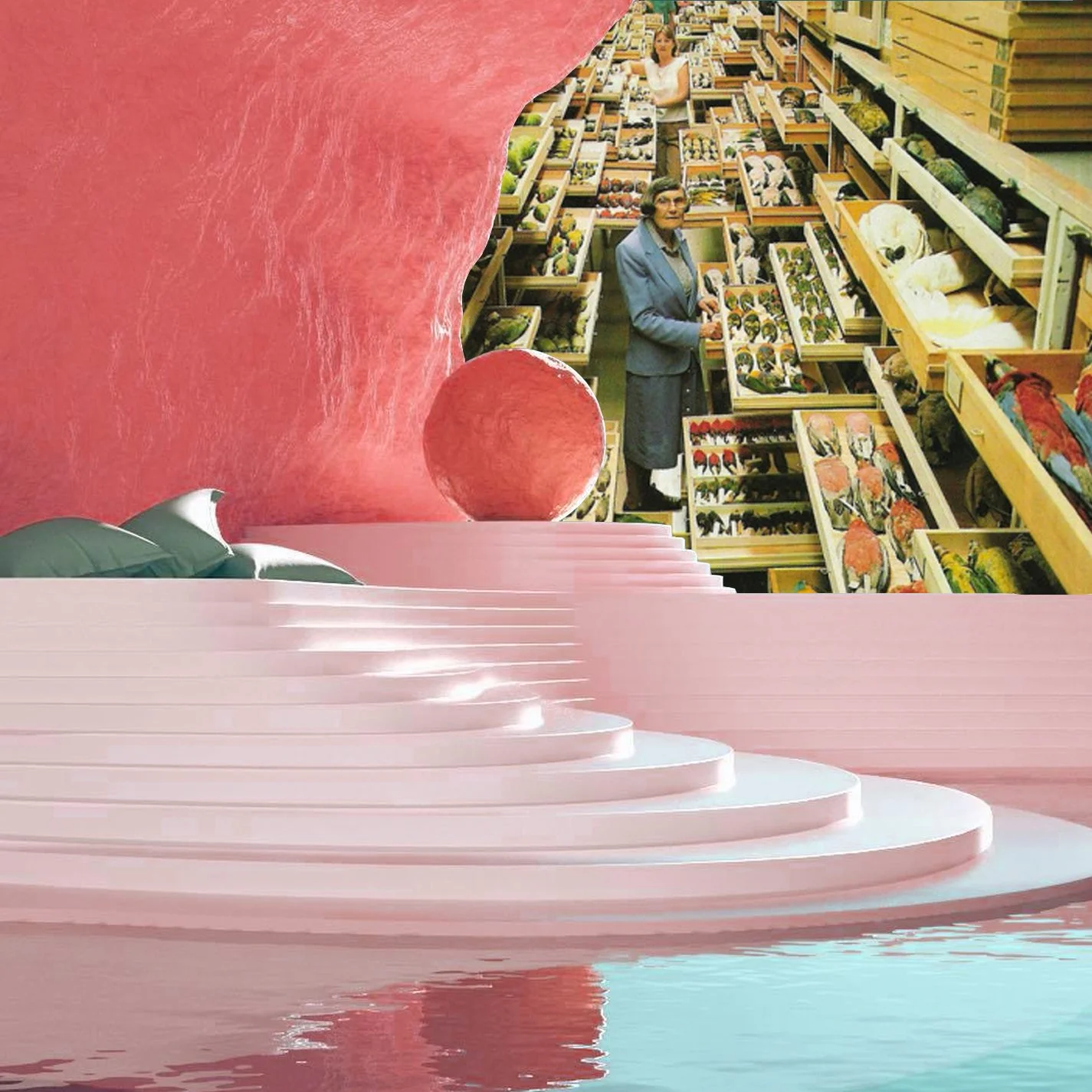 groceries.JPG
