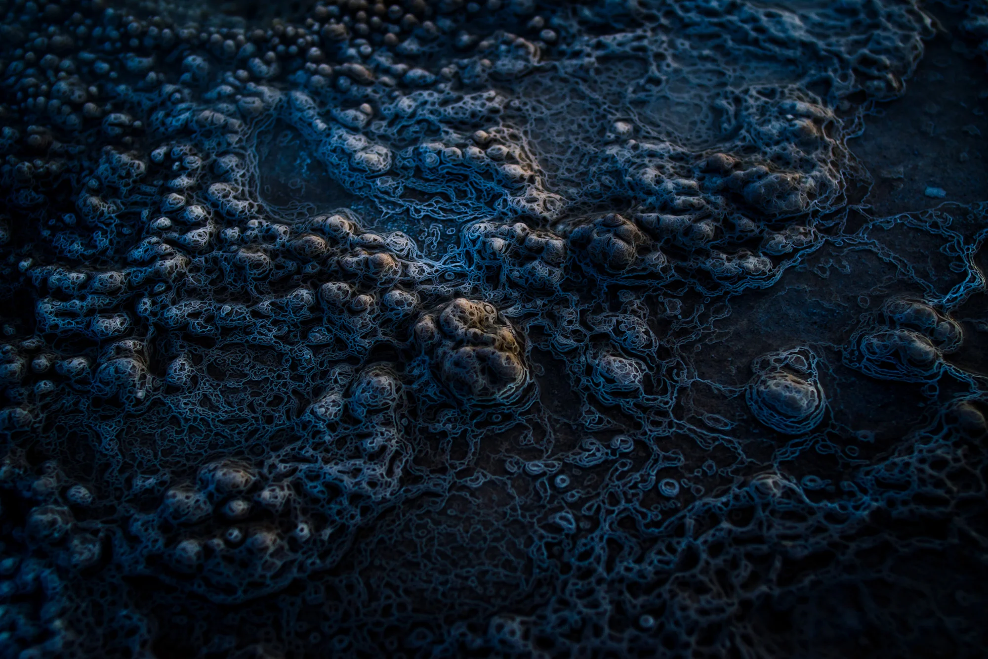 Billions of year ago, life on earth likely began in an environment like this