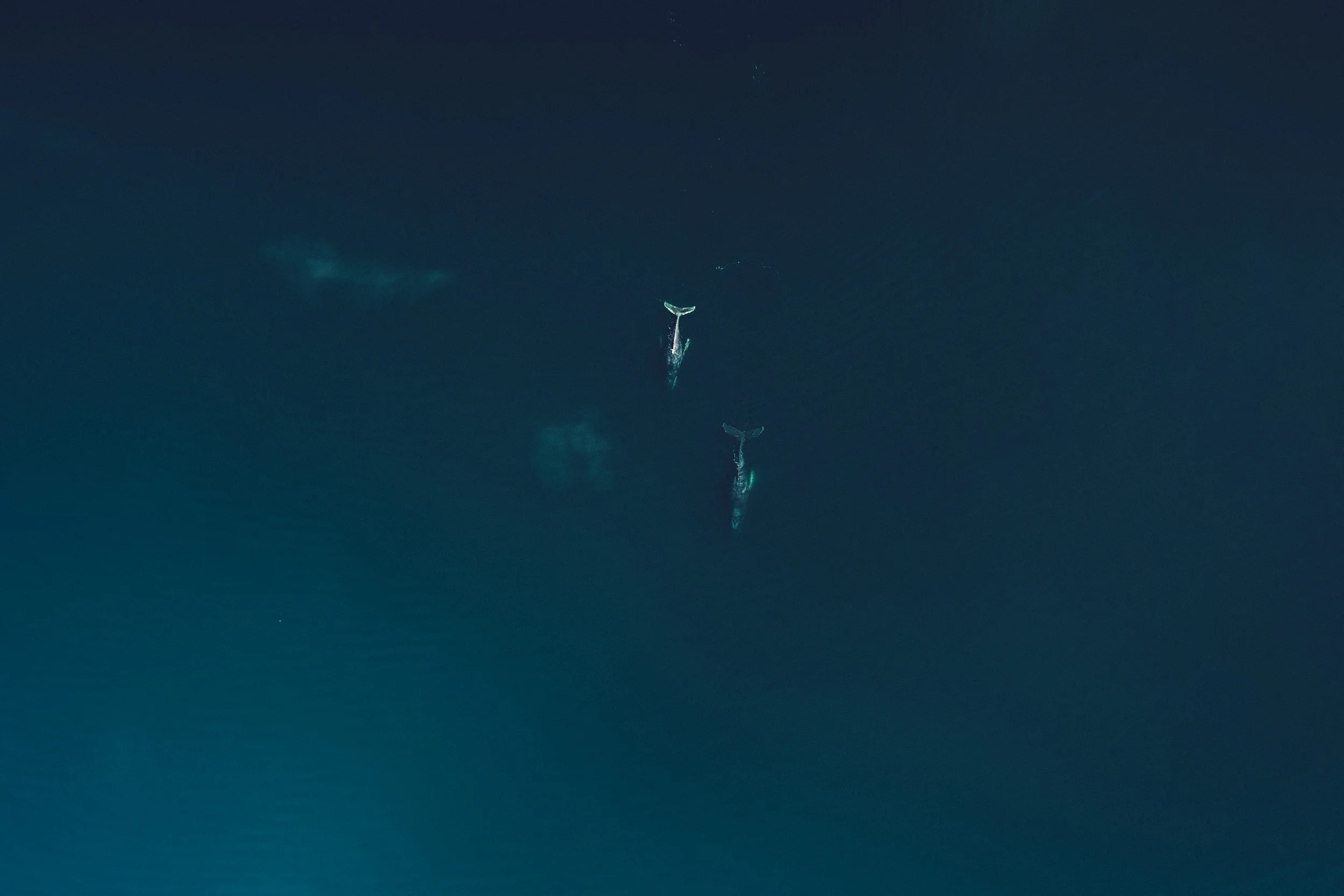 drone_new_circa1983-0094-2.jpg